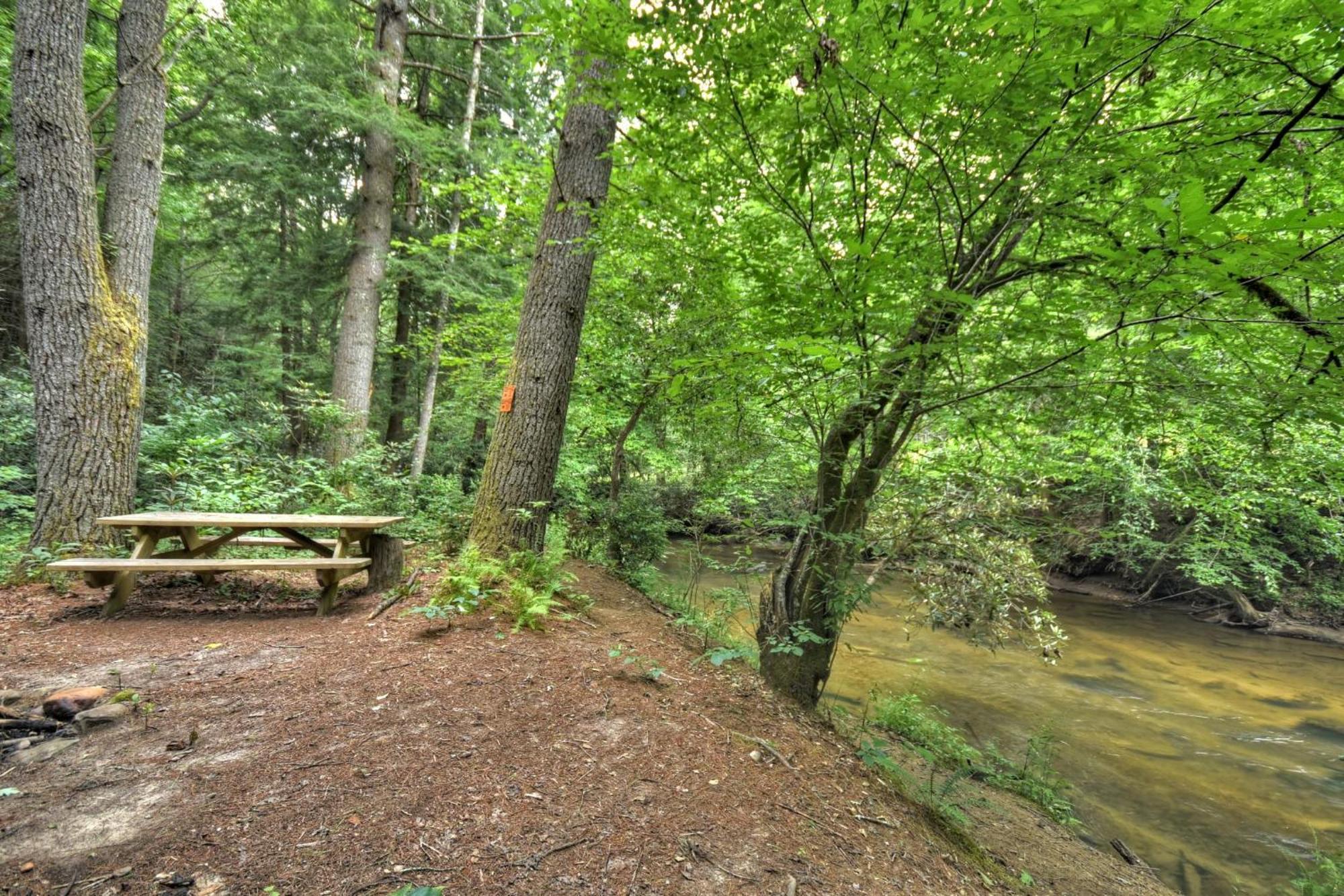 K6 Lodge Gather Around The Firepit Soak In The Hot Tub And Splash In The Creek Blue Ridge Buitenkant foto